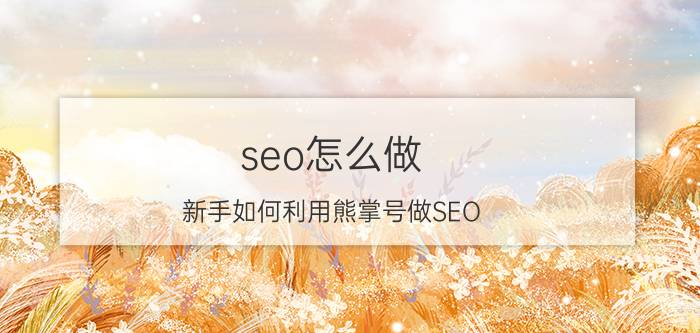 seo怎么做 新手如何利用熊掌号做SEO？